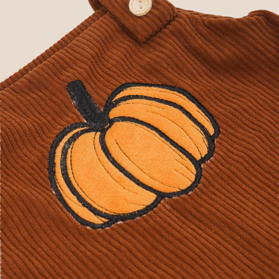 fall pumkin baby corduroy romper close up