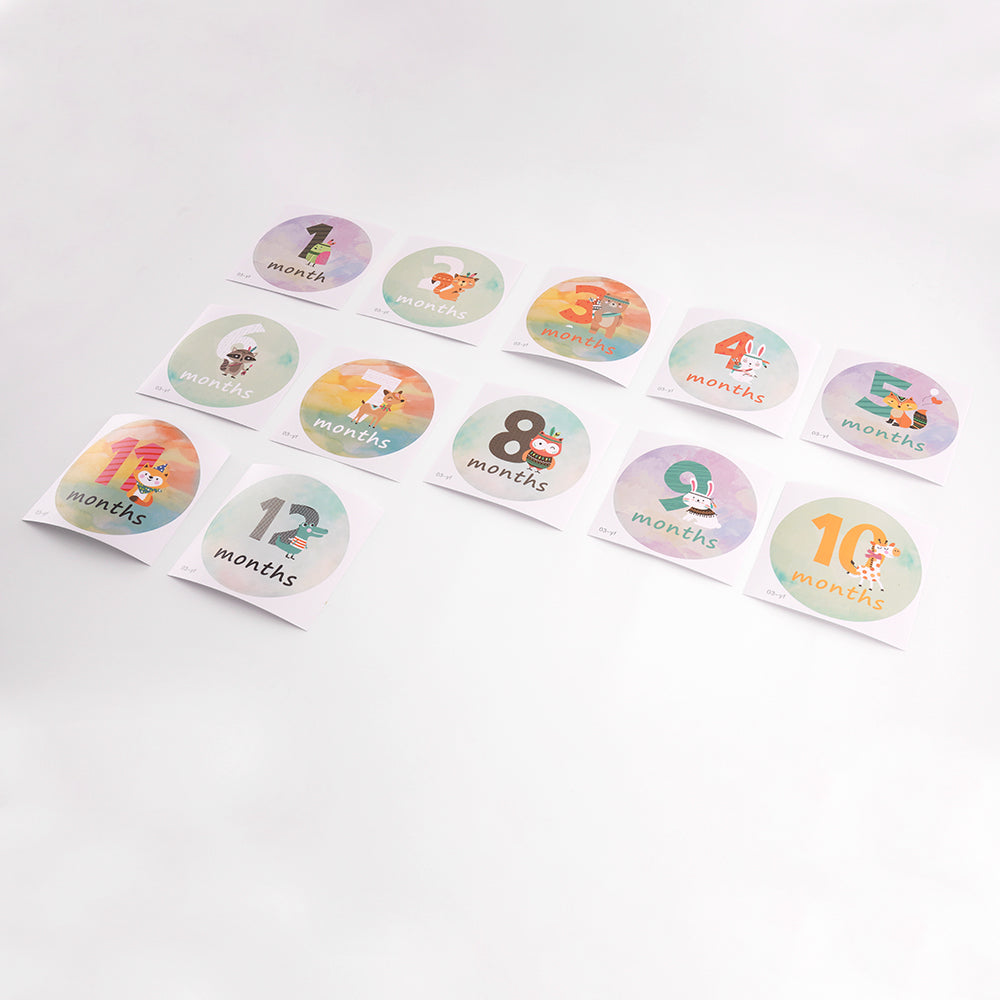 Baby Milestone Stickers Set