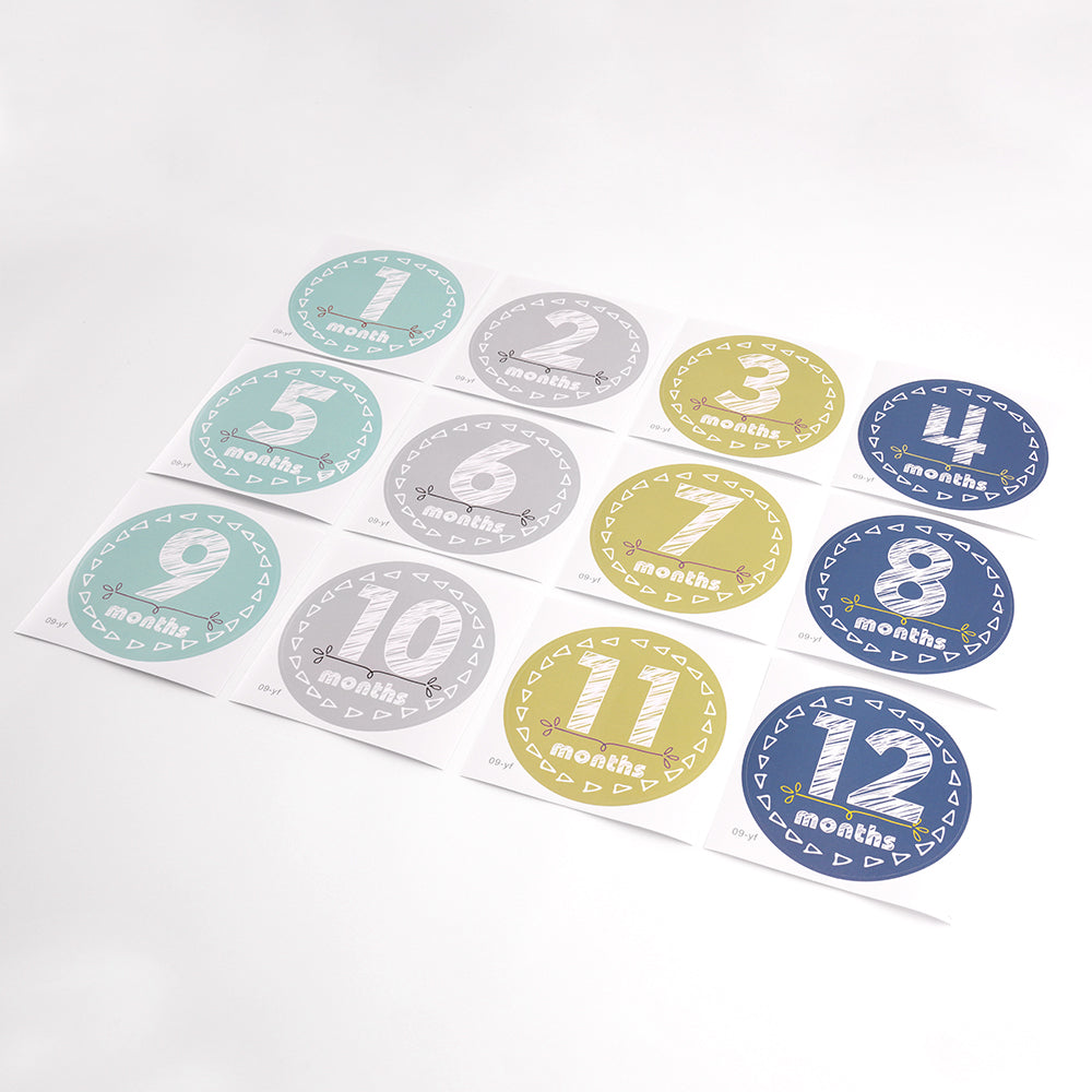 Baby Milestone Stickers Set