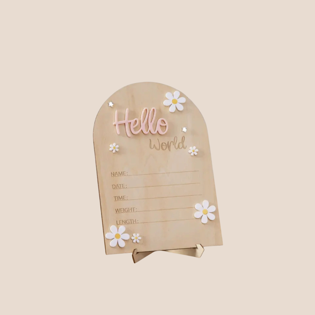 pink hello world baby announcement plaque nursery decor gift